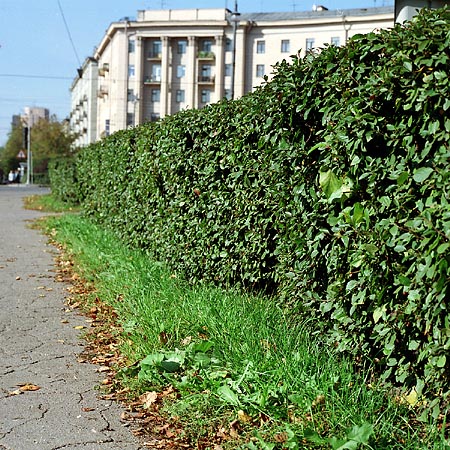 Московский проспект